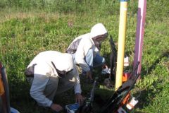 Alyeska survey alaska in mosquito season