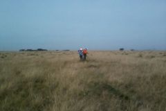 Wide open spaces brasil